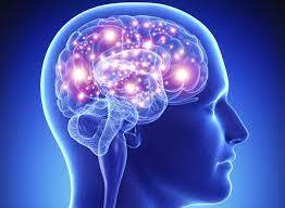 دکتر بیتا وحدانی